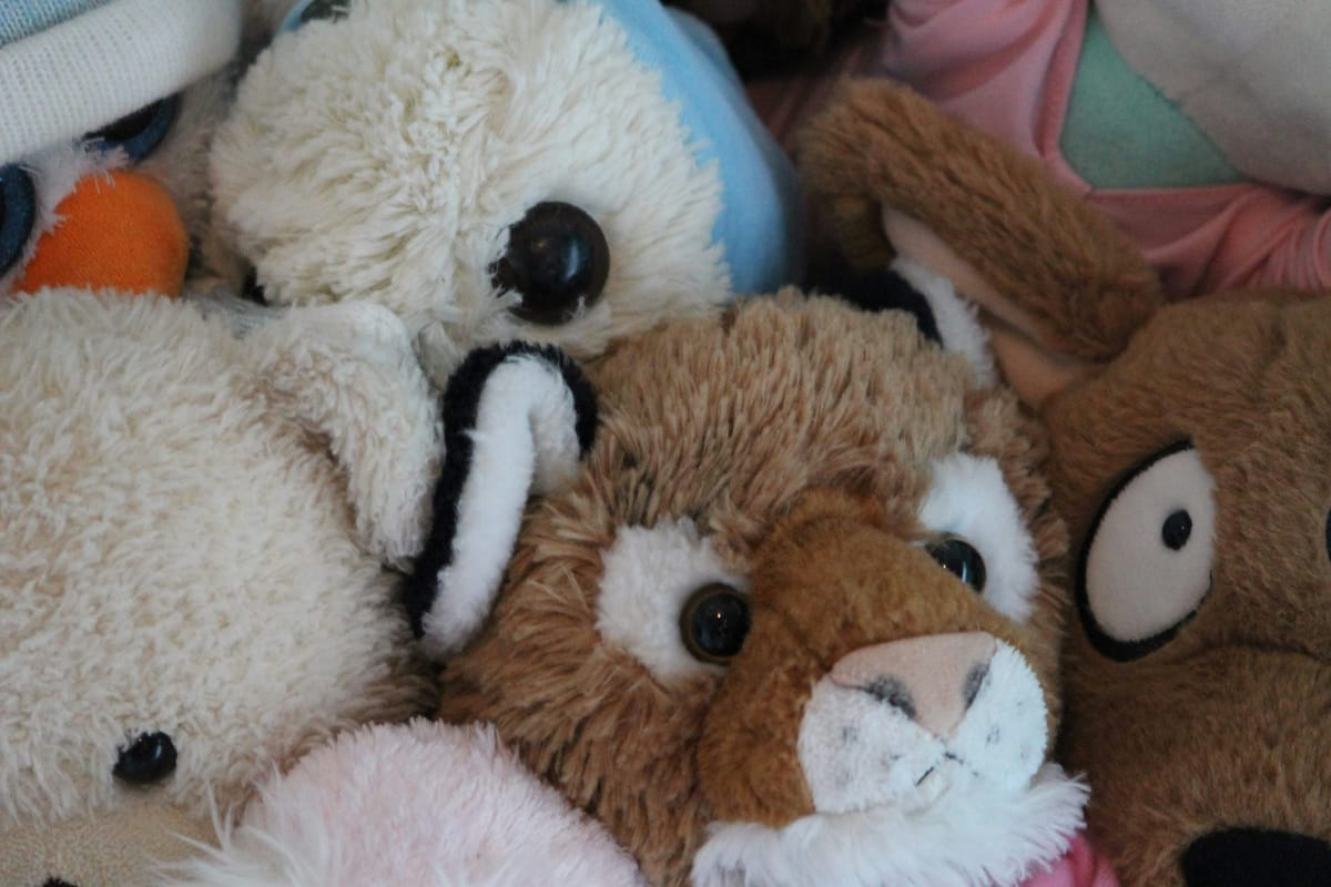 Stuffed Animals and Too Much Data